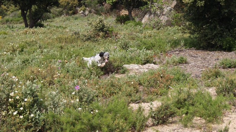 Joy Du Col De L'Espinas